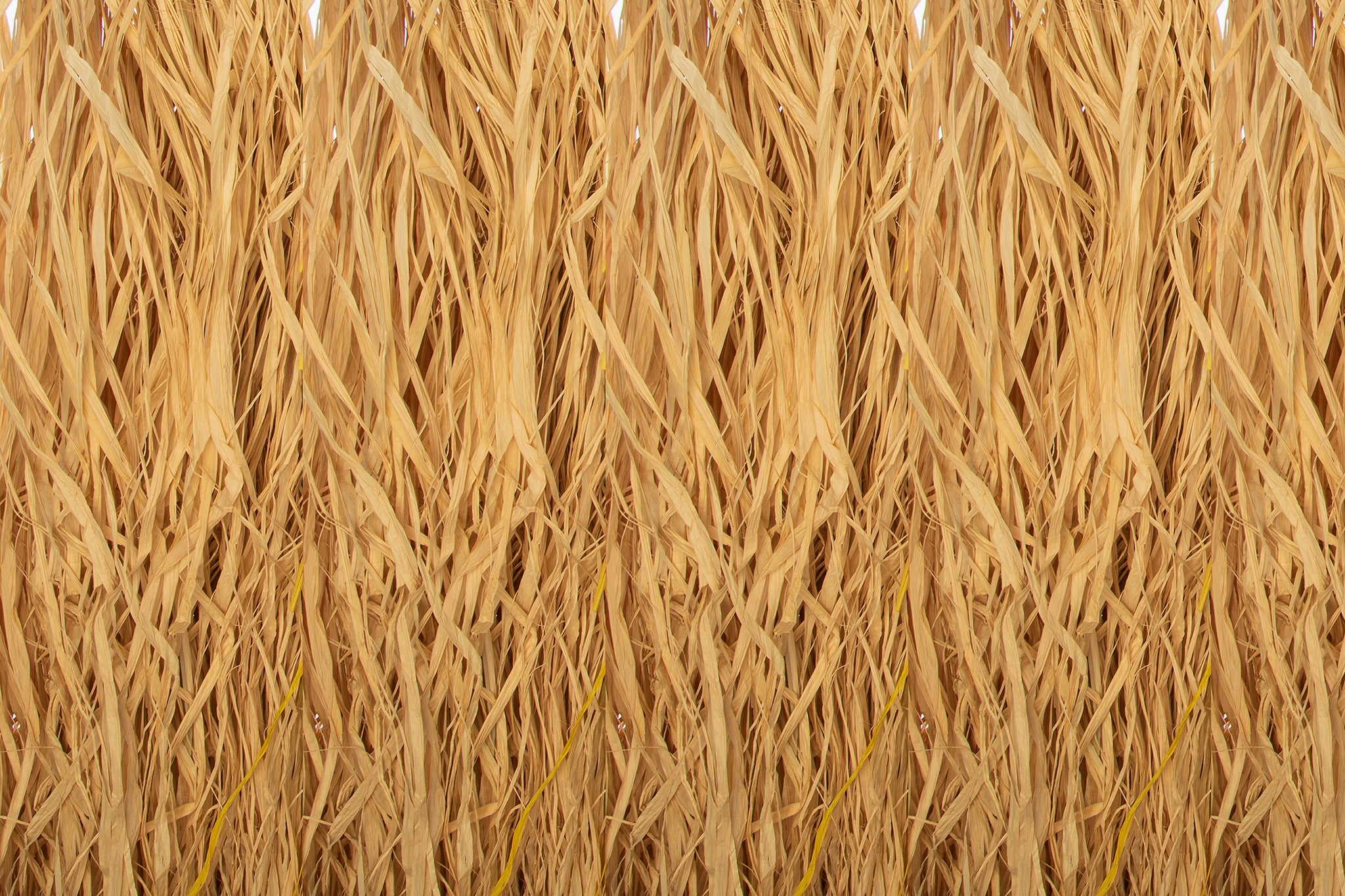 Cotton / Color-All-Natural