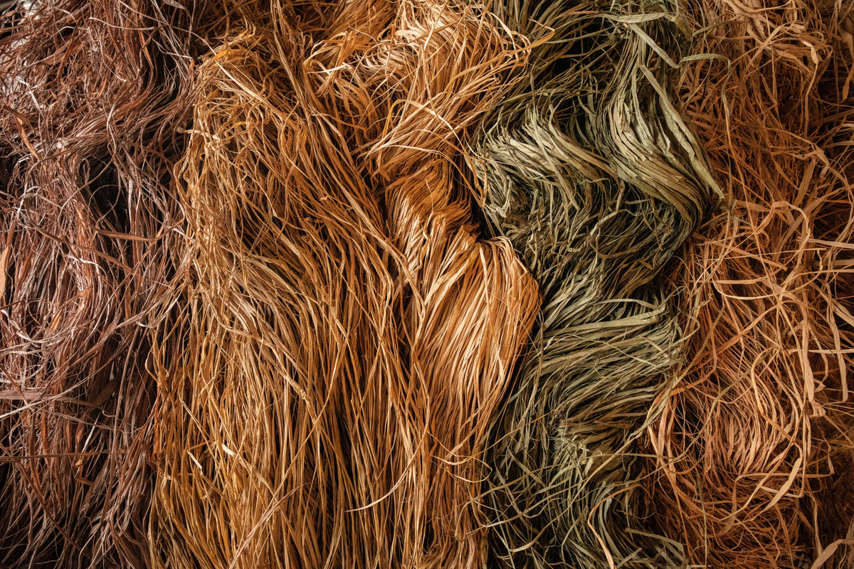What is Raffia and is it Sustainable? - TheRoundup
