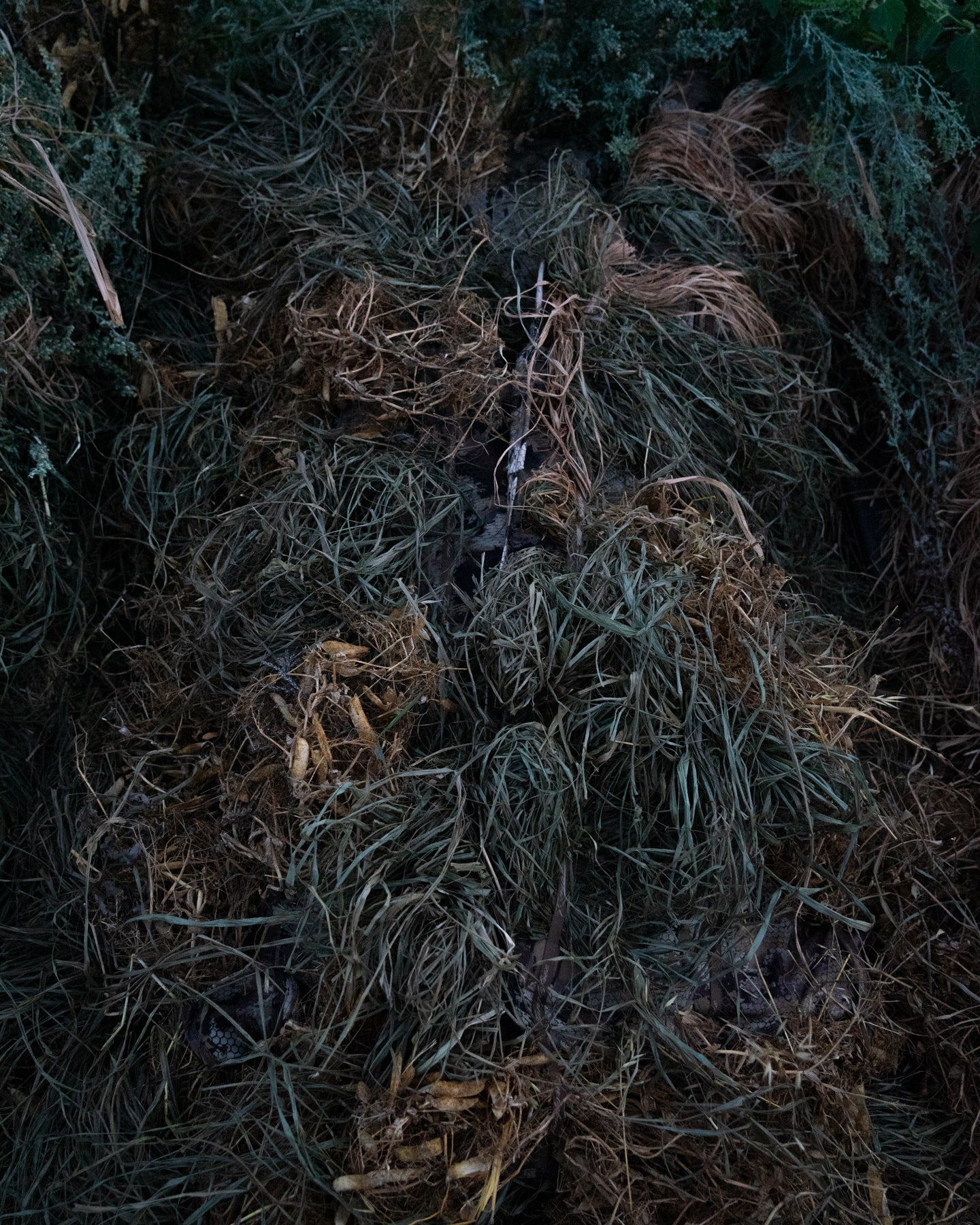 Duck Blind Materials Ranked