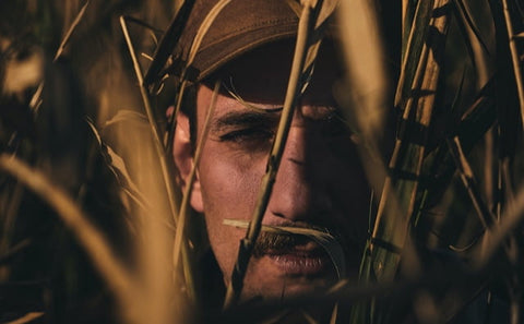 Low Prices, High Quality